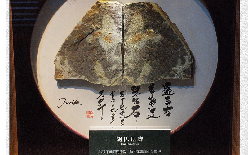 ﻯʯ˱