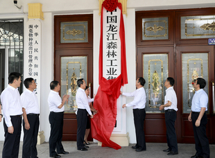 2018年6月30日，中國龍江森林工業(yè)集團(tuán)有限公司掛牌儀式。
