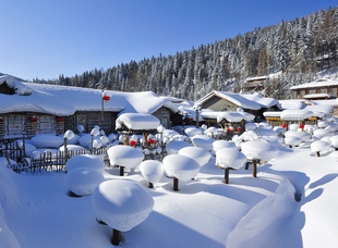 龍江森工集團(tuán)，中國雪鄉(xiāng)景區(qū)。