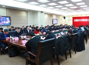 2019年12月11日，龍煤股份公司債轉(zhuǎn)股工作啟動會議召開。            