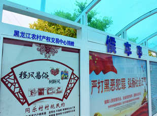2020年，交易集團(tuán)為泰來縣同樂村修建候車亭，助力扶貧攻堅，為村民生活提供便利。