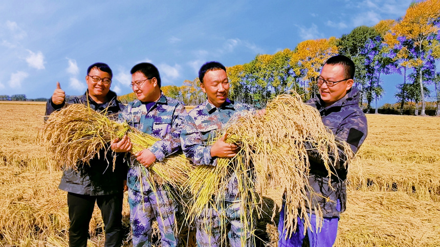 北大荒集團江川農場處處洋溢豐收的笑臉。李偉華攝 
