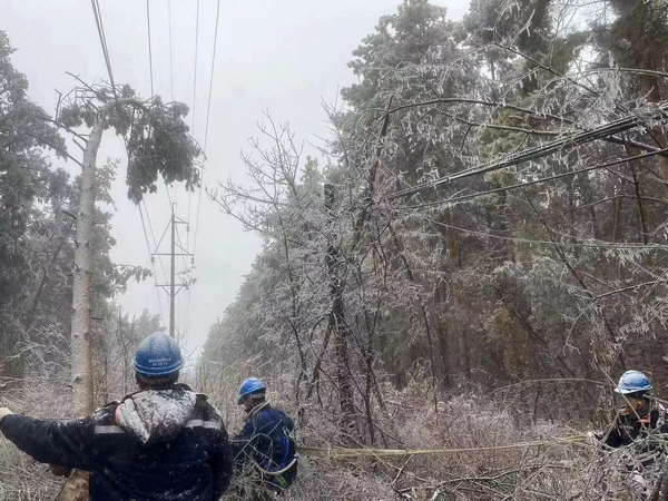 牡丹江供電公司搶修電路。牡丹江市委新聞中心供圖