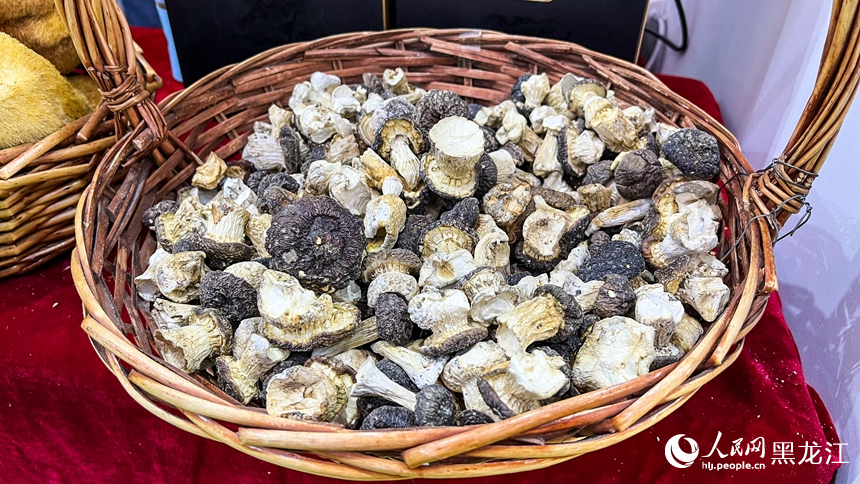 聚焦“龍江綠”｜優質食材 農產好物齊聚博覽會 