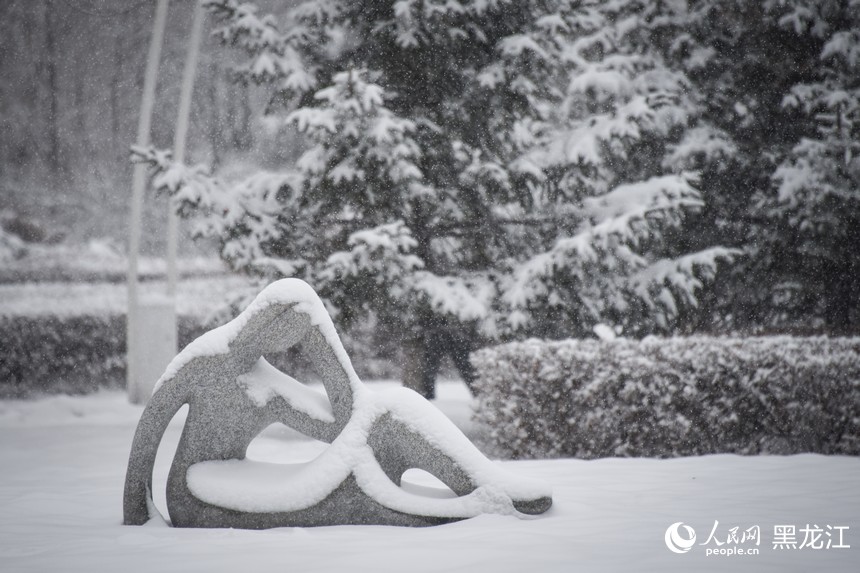 11月22日，哈爾濱市出現降雪天氣。人民網記者 蘇靖剛攝