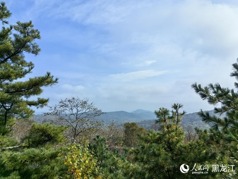 金龍山國家森林公園。人民網 尚城攝