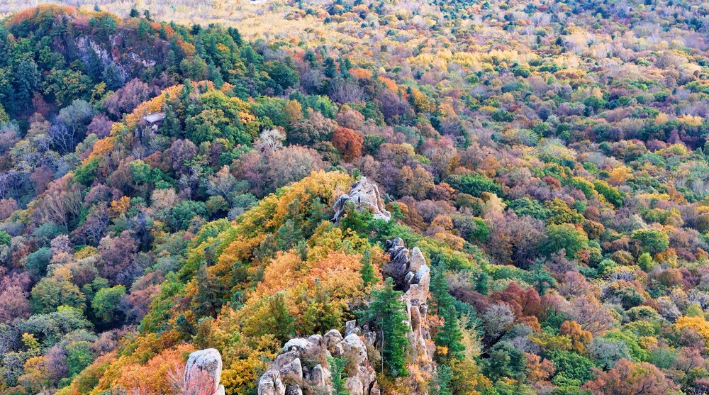 五花山色染金秋
