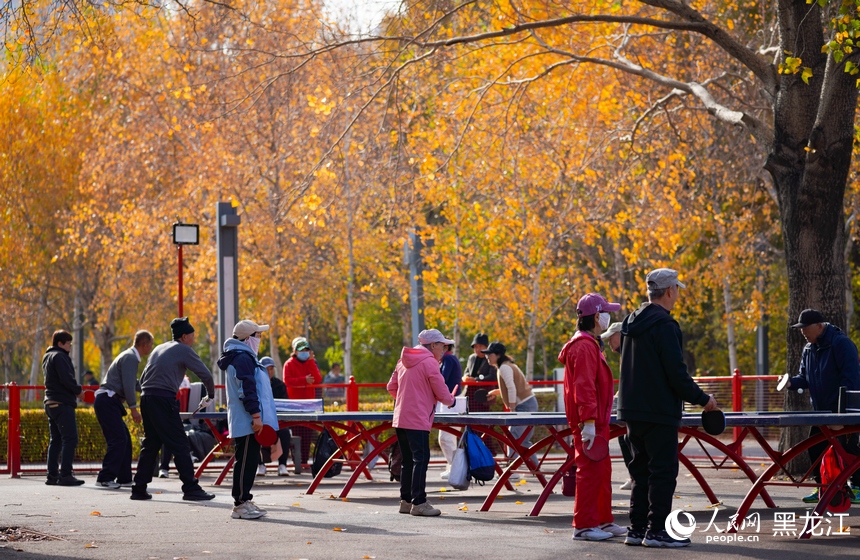 市民們在公園內(nèi)打乒乓球。人民網(wǎng)記者 蘇靖剛攝