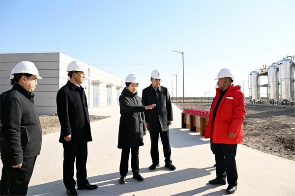 在中晟國金（大慶）能源科技有限公司液化天然氣調(diào)峰儲備項目建設現(xiàn)場，梁惠玲實地察看產(chǎn)業(yè)項目建設進展情況。