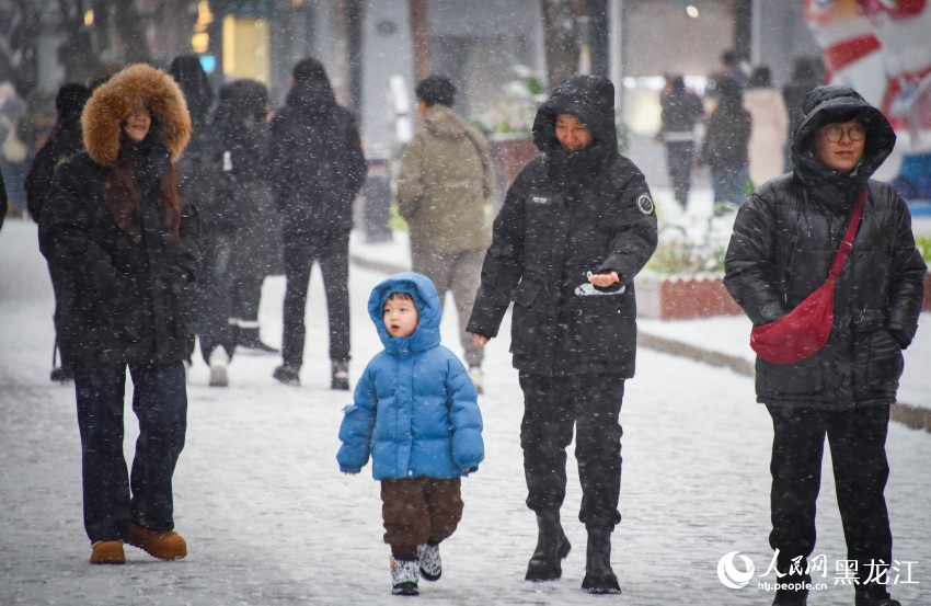 “冰城”哈爾濱迎冬雪