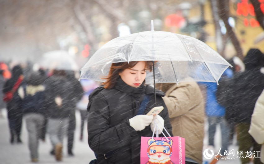 “冰城”哈爾濱迎冬雪