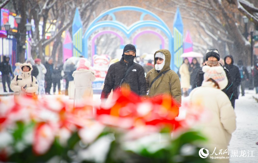 “冰城”哈爾濱迎冬雪