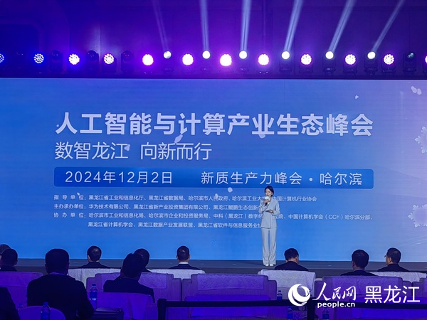 人工智能與計算產業生態峰會現場。人民網 劉婷攝