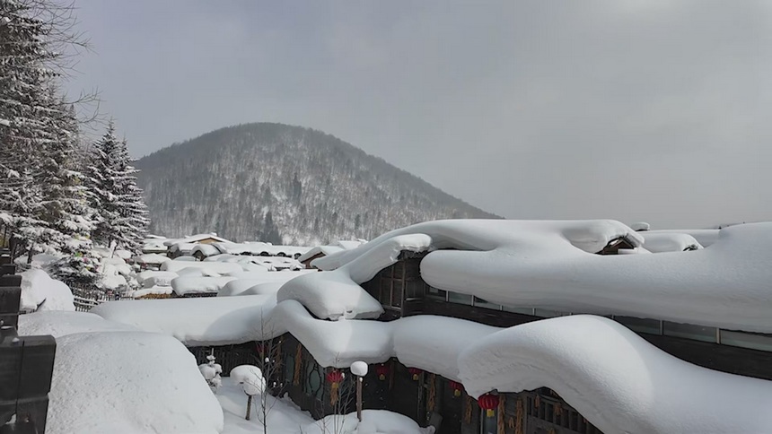 中國雪鄉：春雪紛飛雪色濃
