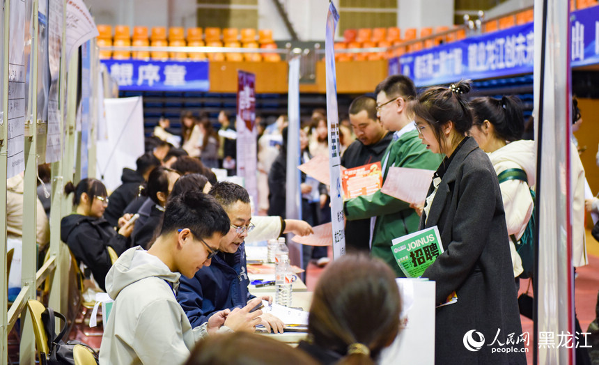 服務高校畢業生 黑龍江精準招聘促就業