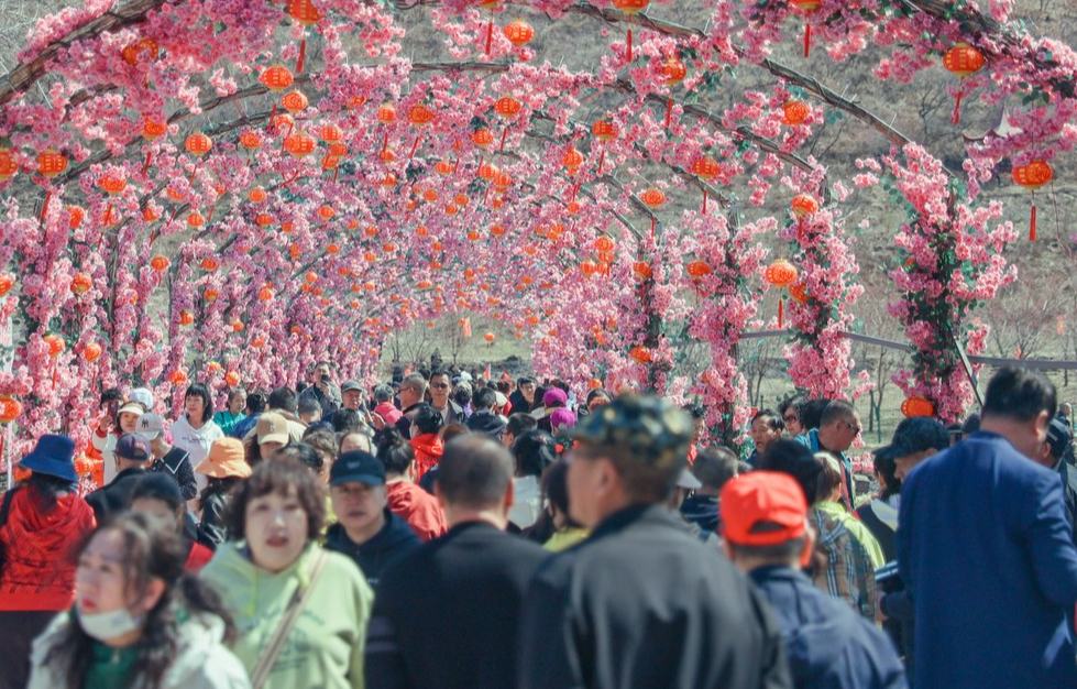 “遇見春天 花開為你”2025雞西市賞花季系列活動開幕
