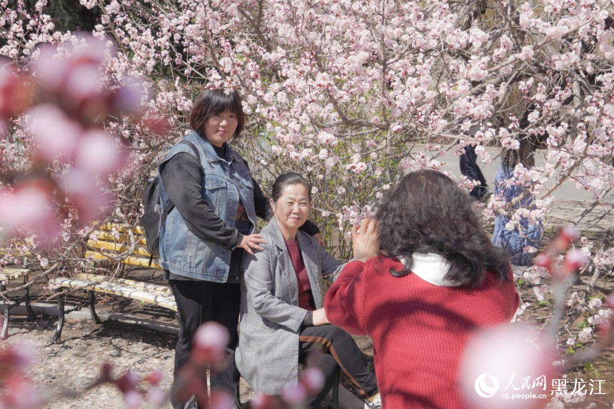 哈爾濱市民游客春日“追花”