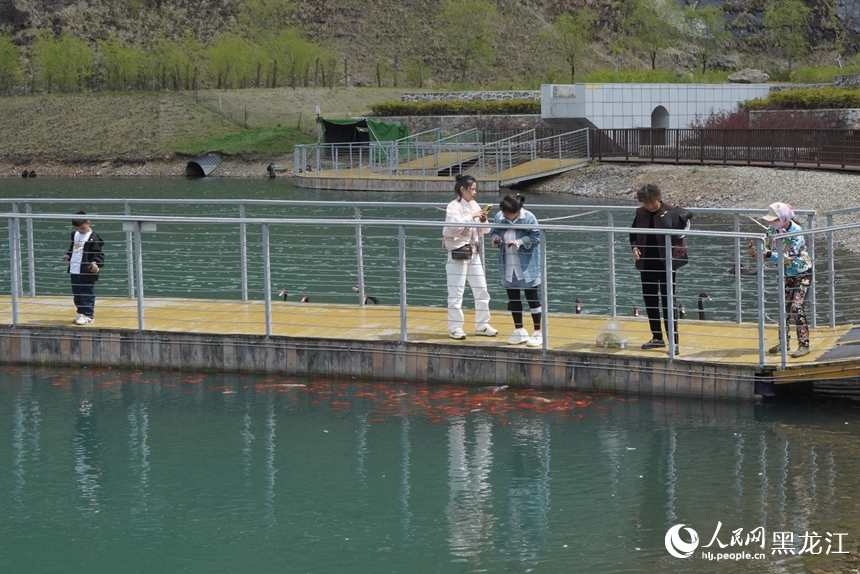 黑龍江寶清：生態轉型扮靚百姓生活