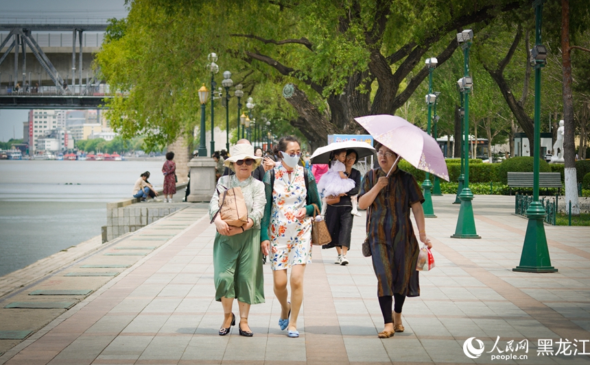 夏有涼風在冰城｜松花江畔樂享夏日時光